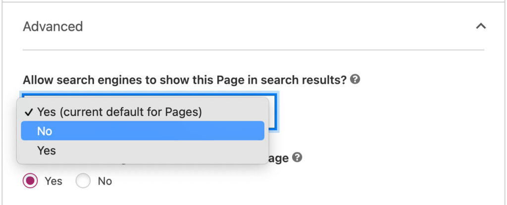 Yoast Plugin No-index setting